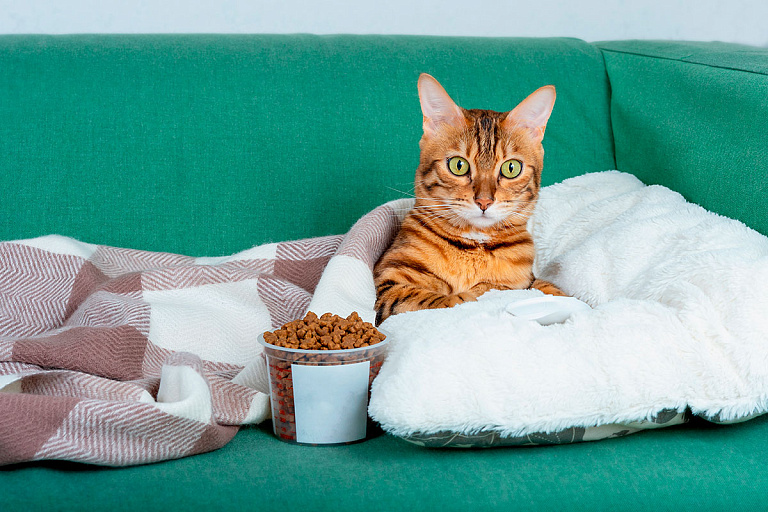 В Минске продают легендарный зоомагазин – просят копейки за готовый бизнес