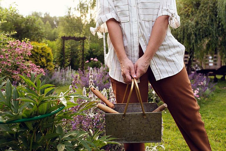 "Дачная болезнь": на нее жалуется 80% пациентов – как не попасть в их число