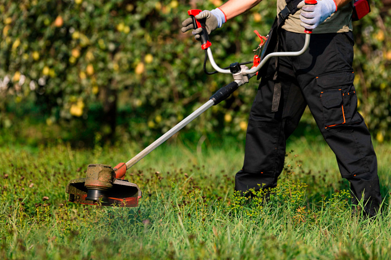 Белоруска пожаловалась на нескошенную в городе траву – что было дальше
