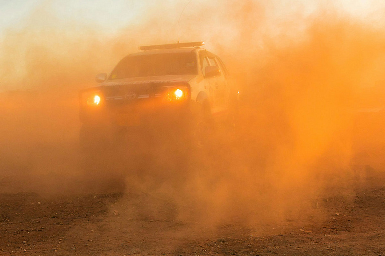 После холода в Беларусь идет неприятный сюрприз из Сахары – чего ждать