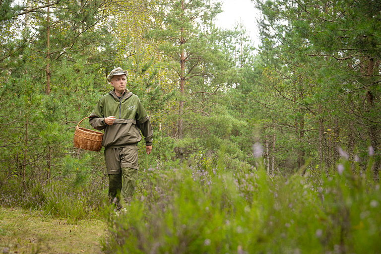 Ездил за грибами даже на Мадагаскар: как белорус построил бизнес на своем хобби