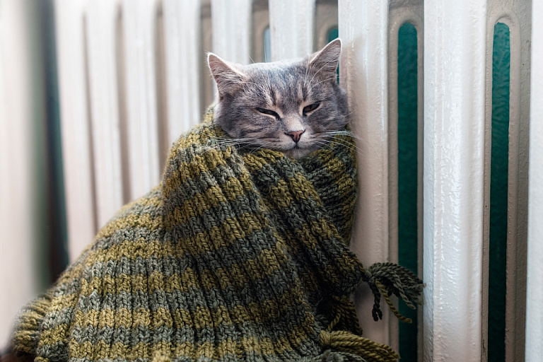 Будем ли мерзнуть: в ЖКХ отчитались о готовности к отопительному сезону