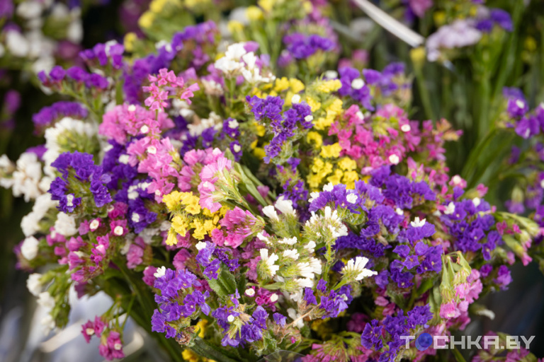 Фото: Павел Русак / Tochka.by