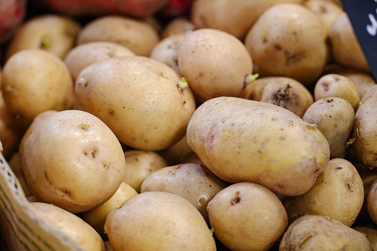 Какую картошку больше всего любят белорусы, выяснили ученые