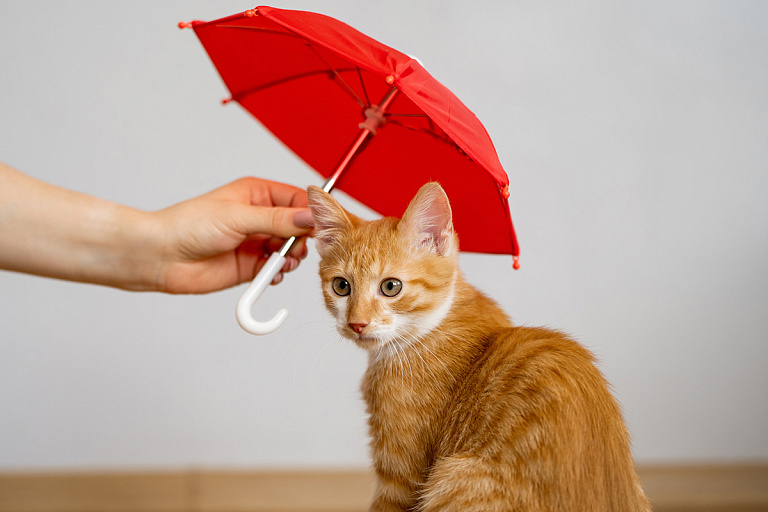 Колебания на 26 градусов: что творится с погодой в начале сентября