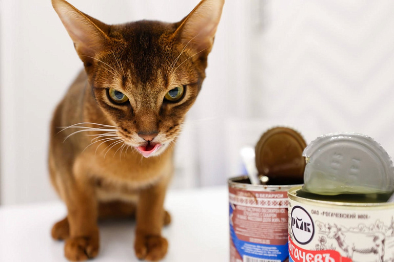 Дерзкое ограбление: с поля под Клецком исчезла рогачевская сгущенка