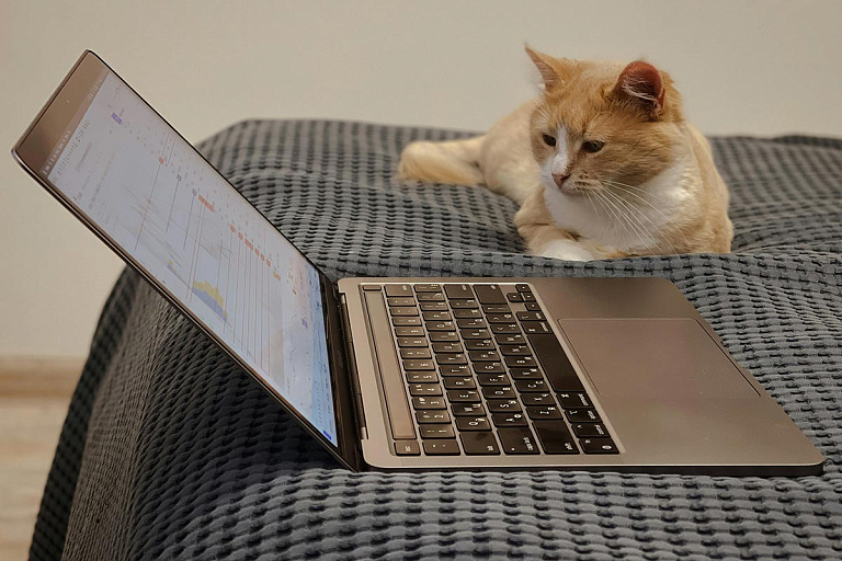 Власти решили, кому из белорусов будут отключать интернет на полгода