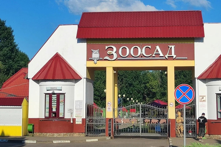 В Могилевском зоосаде пополнение: нового хищника привезли из России