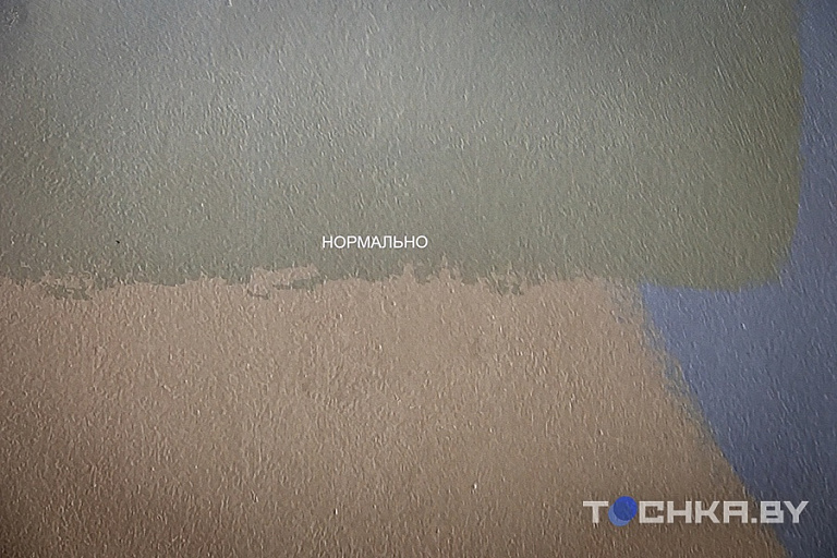 Фото: Павел Русак / Tochka.by