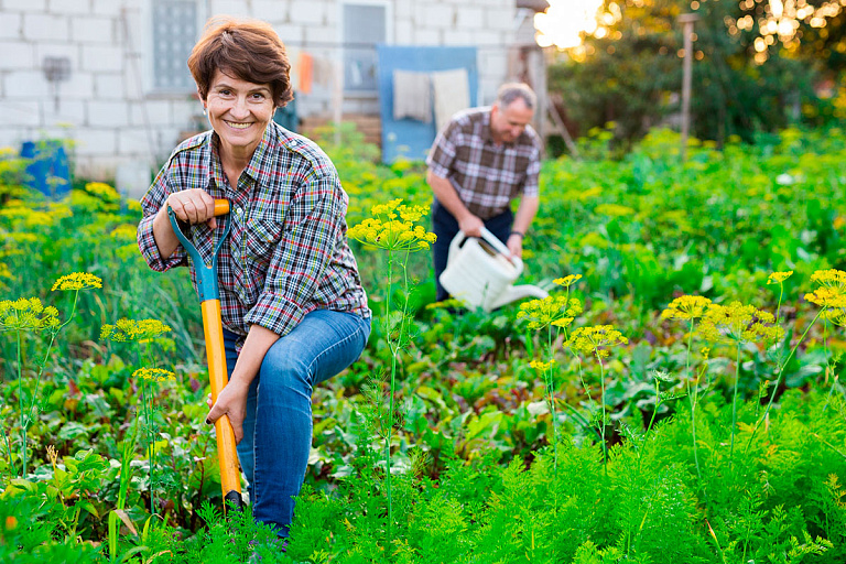 Когда в Беларуси поднимут пенсионный возраст – рассказали власти столицы