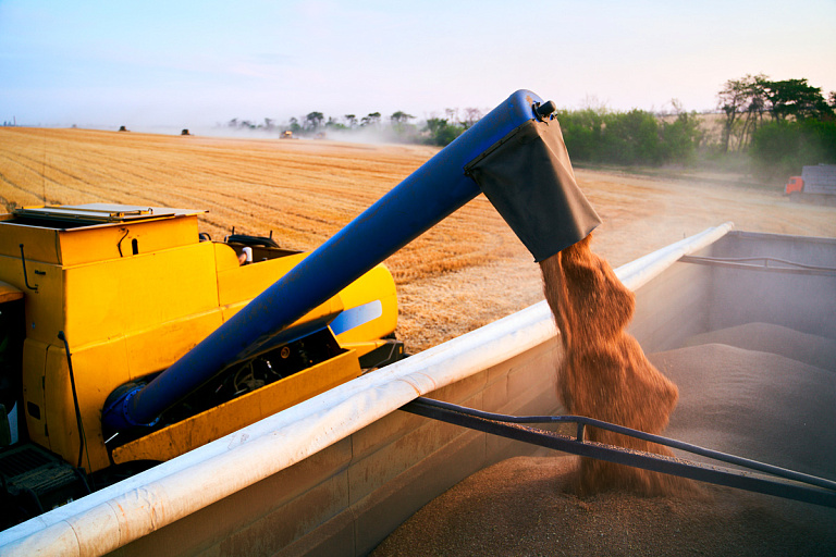 Отстранили сотни комбайнеров: в Минтруда проверили ход уборочной