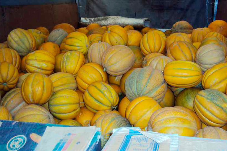 Партию опасных дынь пытались ввезти в Беларусь из России