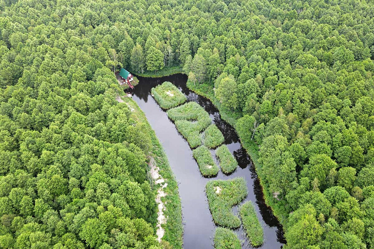 Стала известна причина скандала вокруг заказника "Выгонощанское"