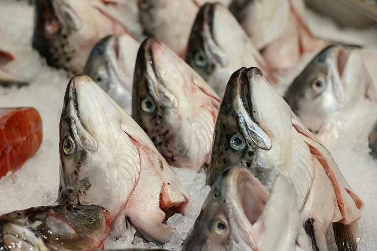 Белорусы стали покупать больше своей рыбы – а что еще
