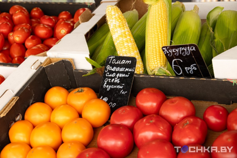 Фото: Павел Русак / Tochka.by