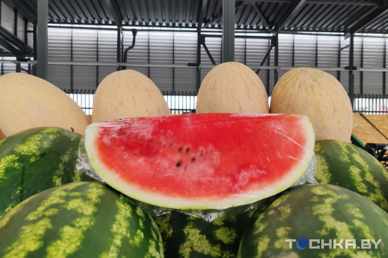 Фото: Павел Русак / Tochka.by