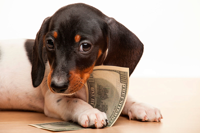 Что стало с долларом перед выходными – курсы валют