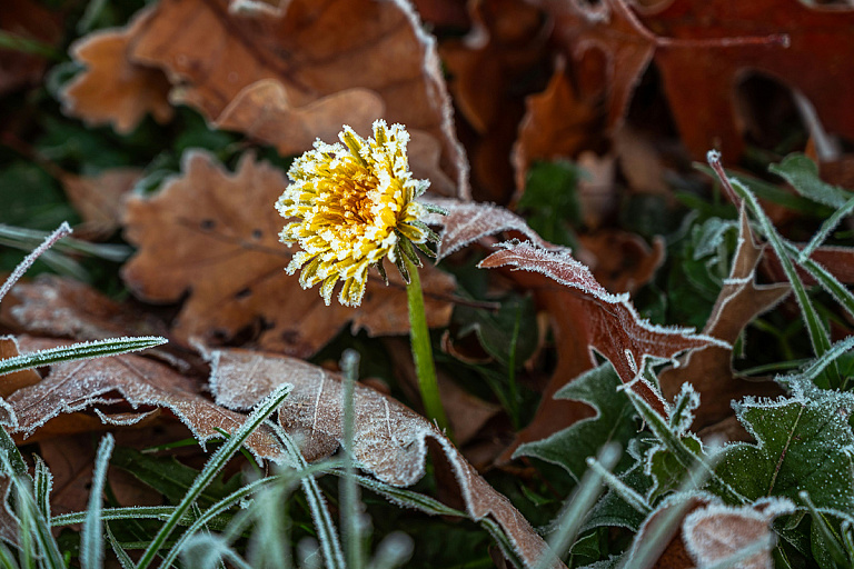 Сезон заморозков открыт: синоптик Рябов рассказал о погоде в конце сентября
