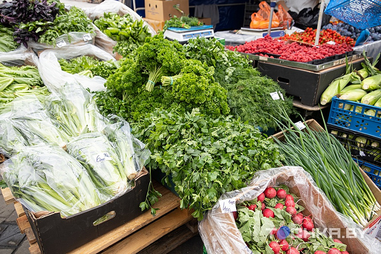 Фото: Павел Русак / Tochka.by