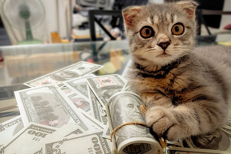 Нацбанк обновил правила обмена валюты в Беларуси