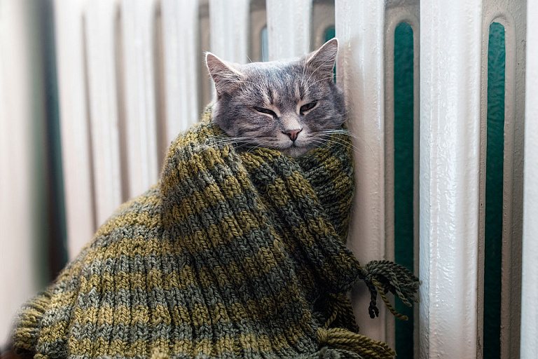 Хватит мерзнуть: узнали, когда в Беларуси начнут включать отопление
