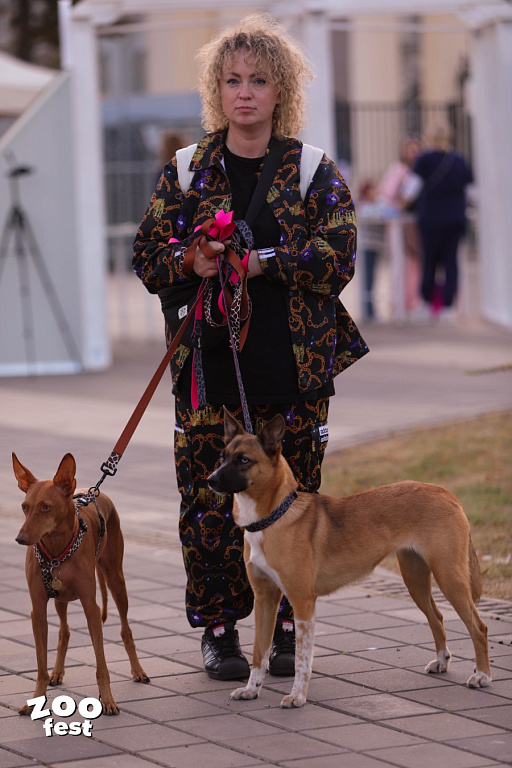 Фото предоставлено организаторами 