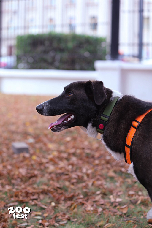 Фото предоставлено организаторами 