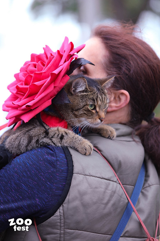 Фото предоставлено организаторами 