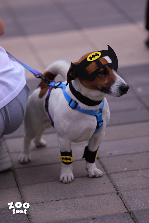 Фото предоставлено организаторами 