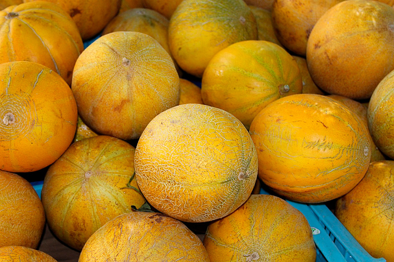 Опасные дыни изъяли из продажи в Беларуси – где именно