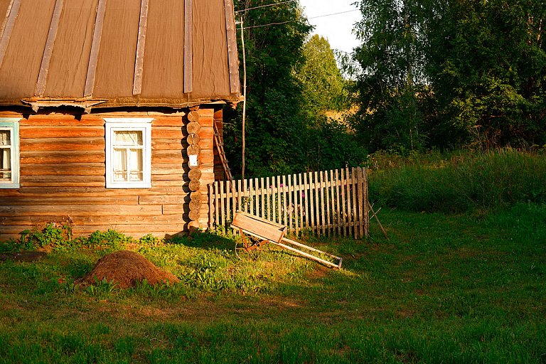 Личный уголок спокойствия в глуши: нашли пустующие дома за базовую