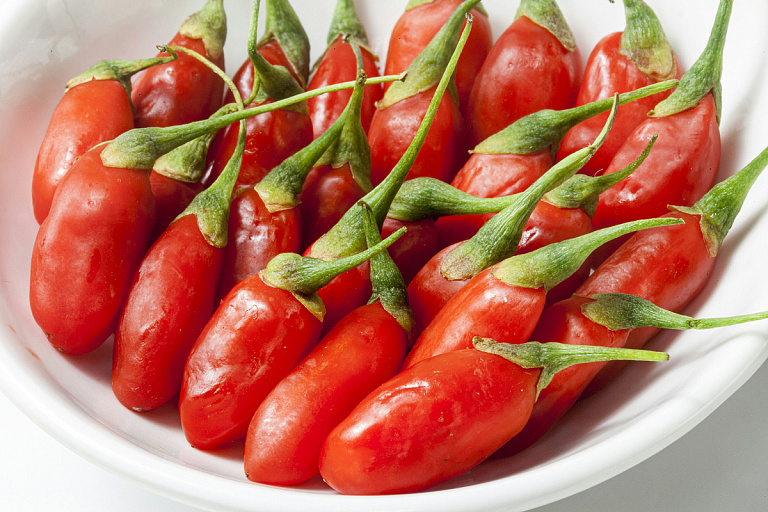 В Беларуси пытаются вырастить известный суперфуд – результаты так себе