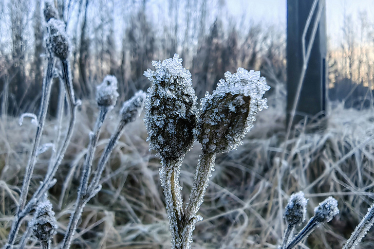 Белорусы замерзнут в октябре – синоптики обещают даже гололед