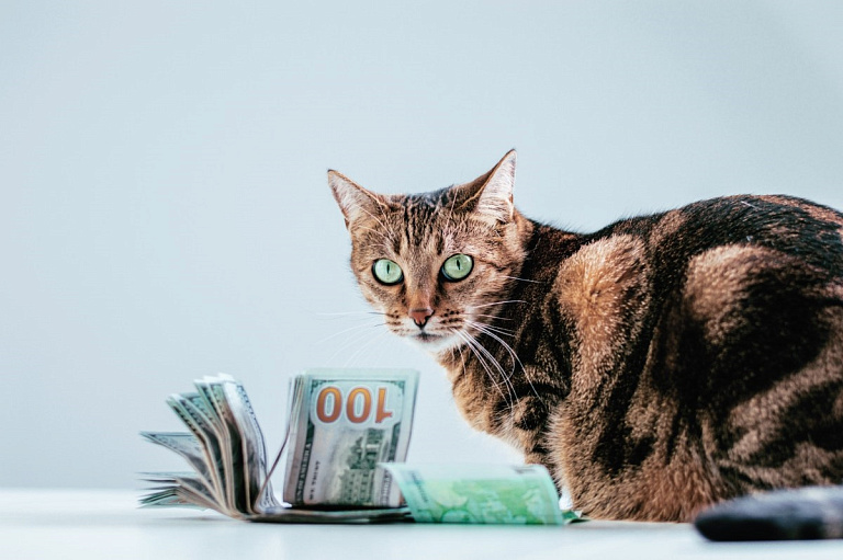 "Уроним" ли до Br3 – курс доллара снова снижается