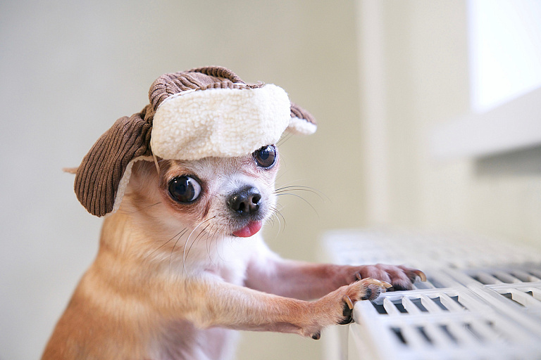 Линия перегружена: куда звонить по отоплению, если не попасть в 115