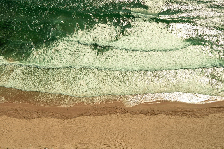 Минское море позеленело: что говорят экологи