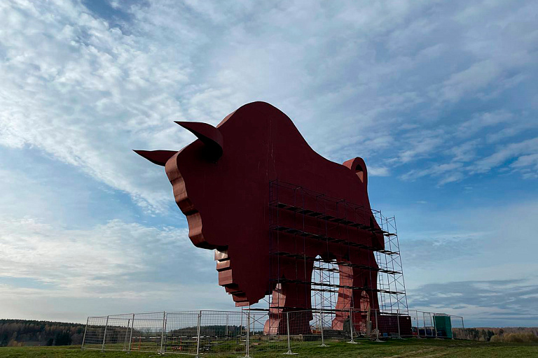 Зубр на границе Брестской области "задымит" и "заревет" – как это будет