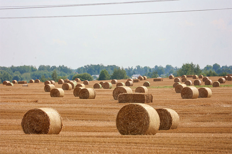 Лукашенко назвал, как долго должен ездить трактор, и предложил новый запрет