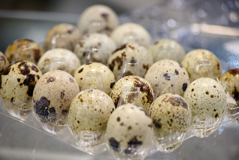 В школьном меню появится новый продукт – он есть не в каждом доме