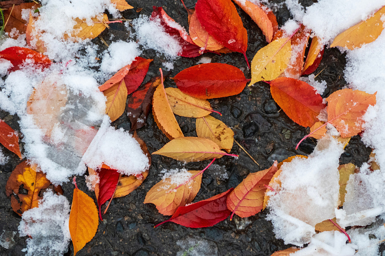 Первый снег не за горами – прогнозирует Белгидромет