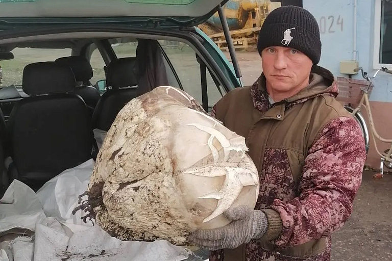 В Бобруйском районе найден гриб весом почти 10 кг