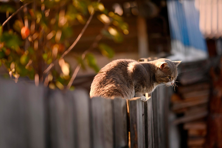 В линейке домиков от Минлесхоза появился бюджетный вариант для дач – смотрим