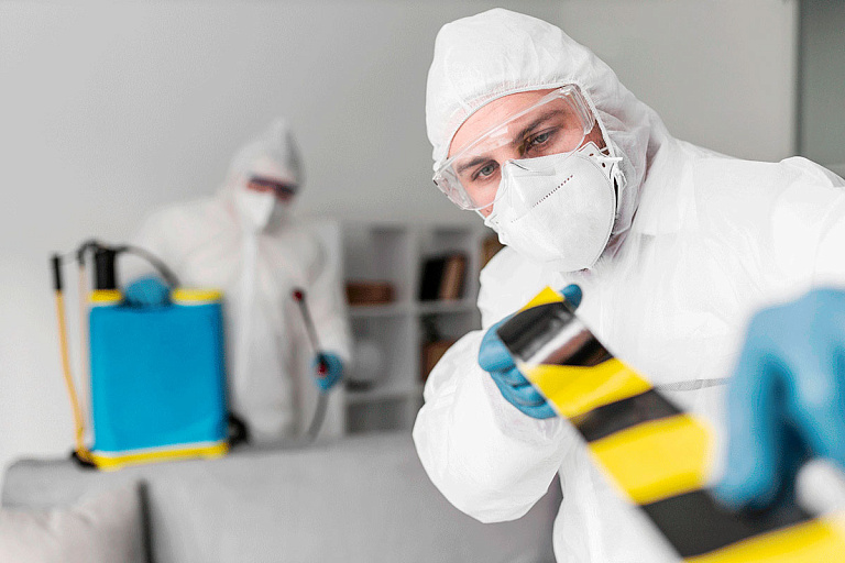 "Боюсь находиться дома": минчан атакуют клопы – история борьбы с паразитами