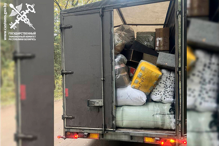 "Серый" импорт на $800 000 – таможенники рассказали о крупном задержании