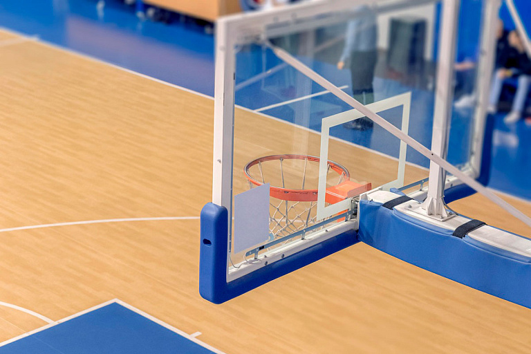 В сербском баскетболе прогремел скандал – полиция провела первое задержание