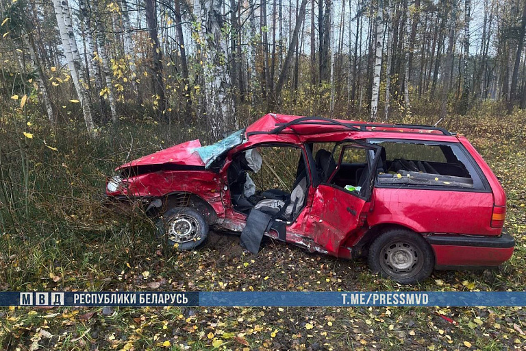 Трагедия на дороге: в аварии недалеко от Лепеля погибли два человека