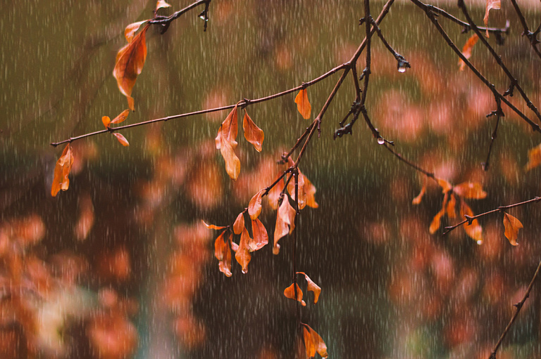 Продолжатся ли дожди на следующей неделе – прогноз от Рябова