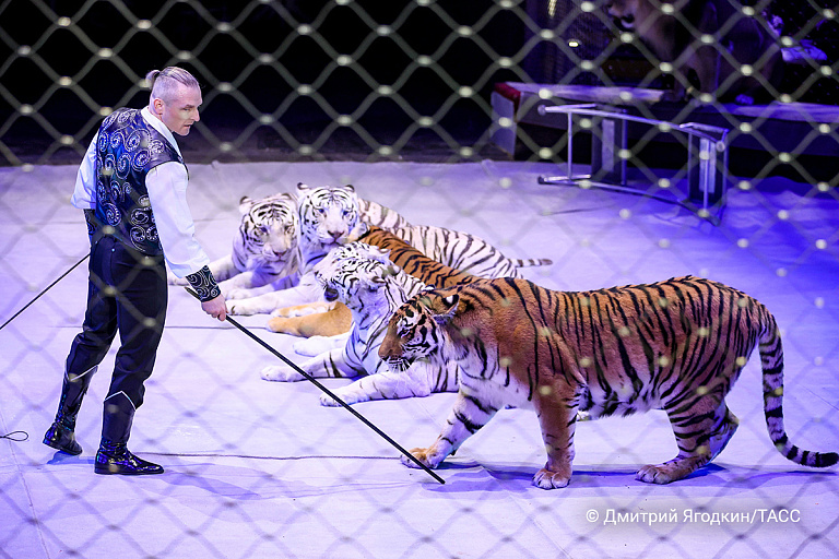 "Выгляжу мерзавцем": Запашный признался, что у него есть внебрачный сын