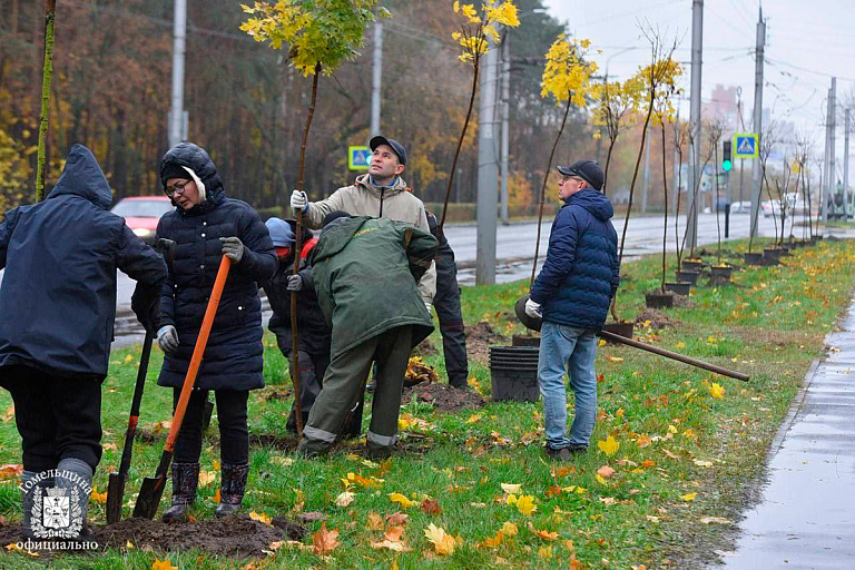 На республиканском субботнике собрали еще больше денег – Белстат