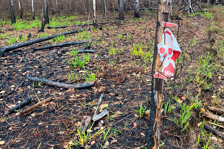 Недалеко от белорусской границы подорвались украинцы – пятеро погибли
